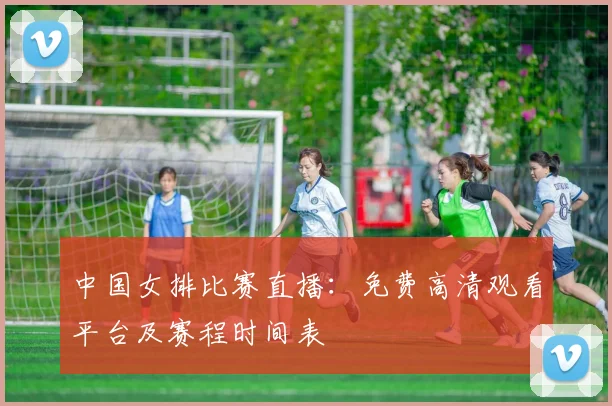 中国女排比赛直播:免费高清观看平台及赛程时间表